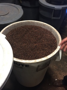 Check out this barrel of freshly roasted cocoa nibs, the same Shawn uses in his breakfast smoothie each morning. The handful I ate was still warm.